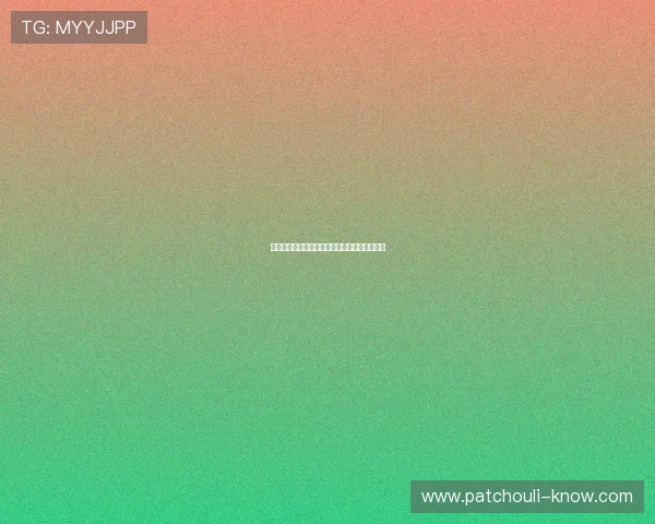 法甲主帅大解析：如何带领球队走向成功与挑战